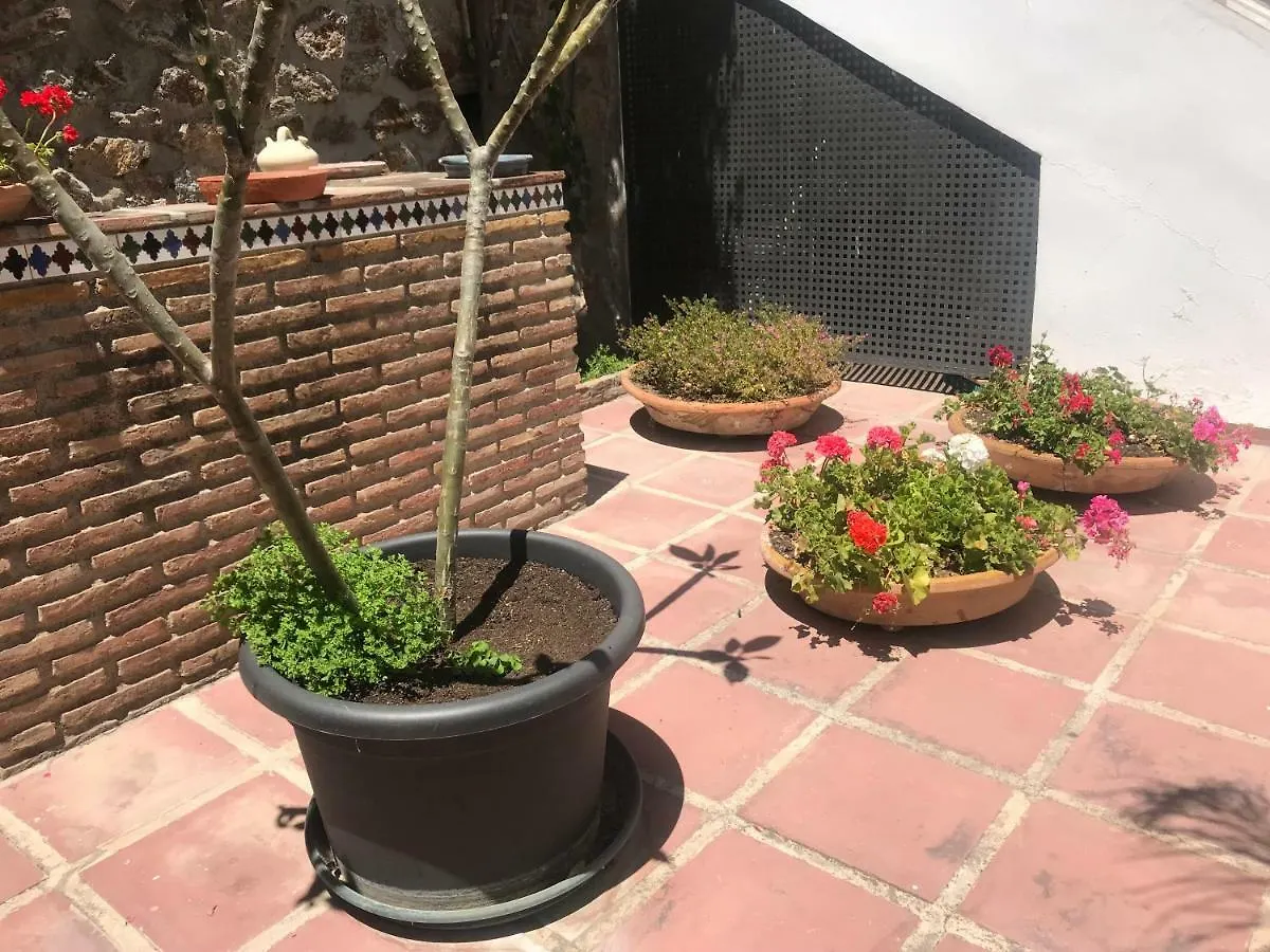 Apartamentos Turisticos La Mundial Málaga